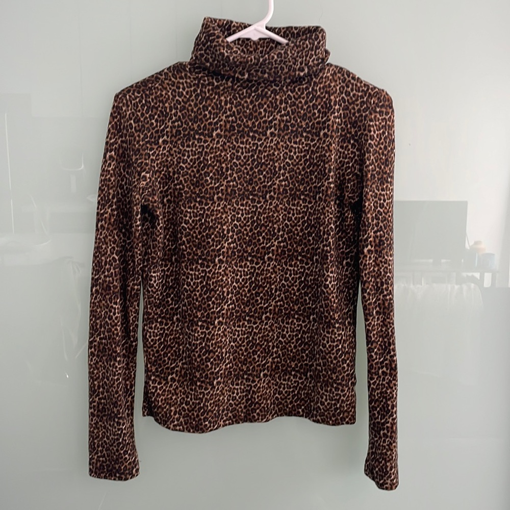 Leopard Print Knit Zara Turtleneck